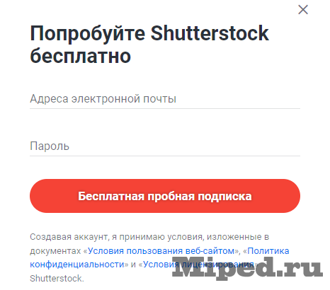 Бесплатно скачиваем изображения с Shutterstock