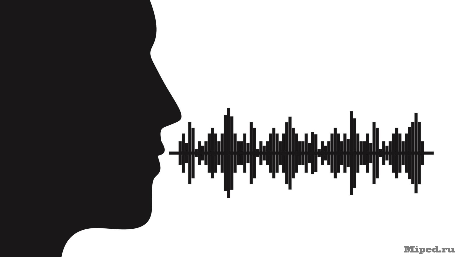 Голос человека. Звуковая волна. Графическое изображение звука. Голос изображение. Не слышимые звуки разговор